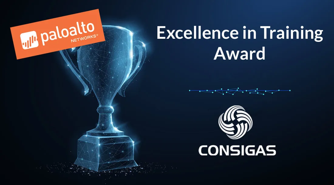 Palo Alto Networks EMEA Excellence in Training Award for 2019
